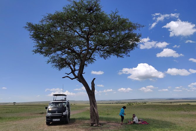 Maasai Mara Safari!! - A full day in the reserve on day two