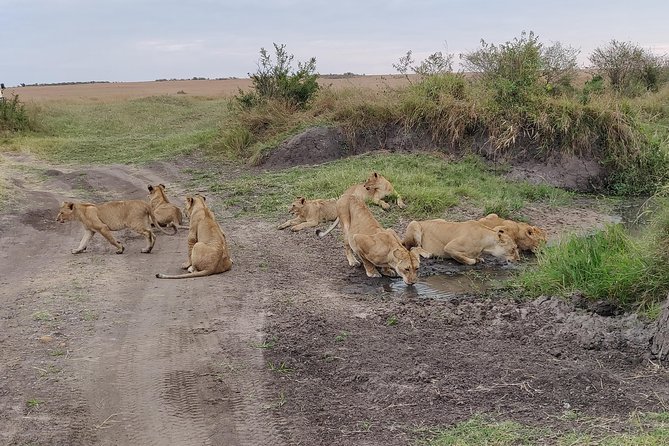 Maasai Mara Safari!! - The Great Rift Valley and the road to Narok