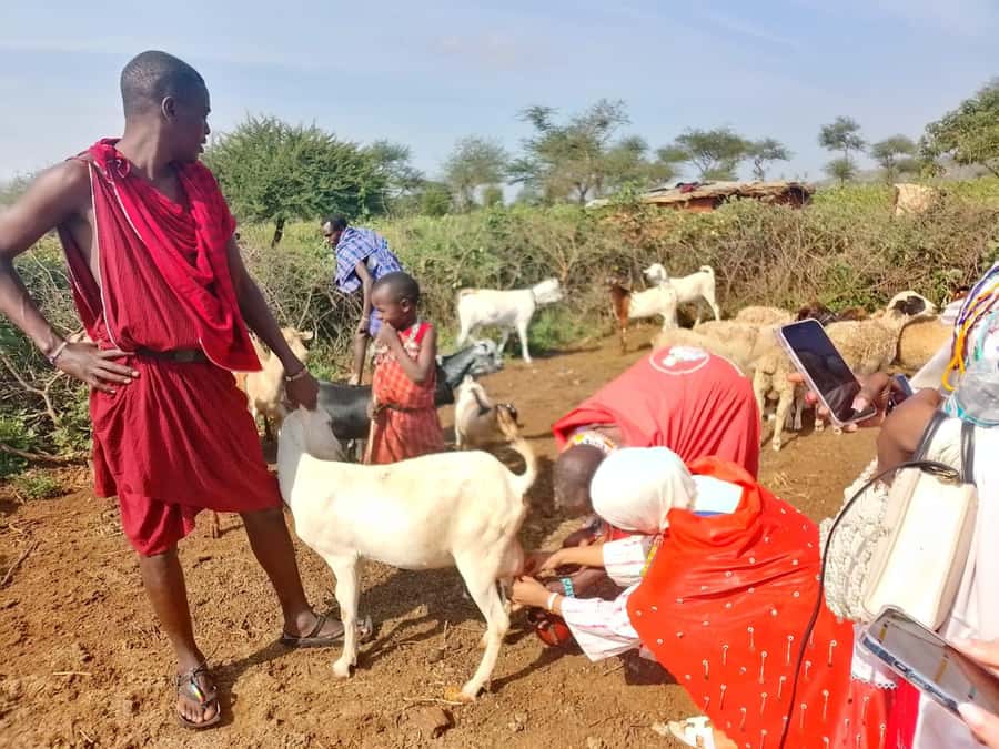 Maasai Village: Cultural Experience of The Maasai Tradition - Key points to know before you book