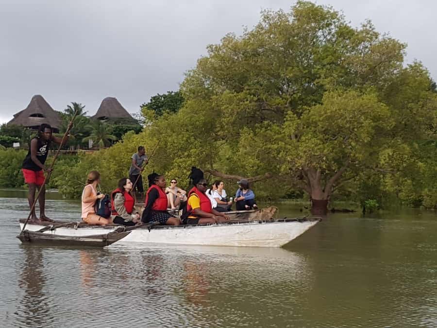 mangrove tour - Key points to know before you book