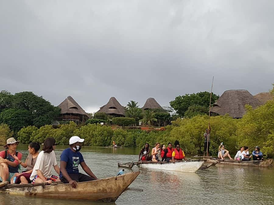 mangrove tour - A calm late afternoon on the Kongo River