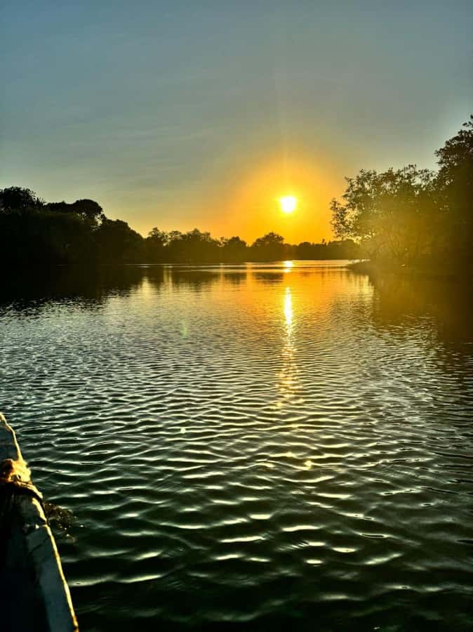 mangrove tour - Upstream through the mangroves