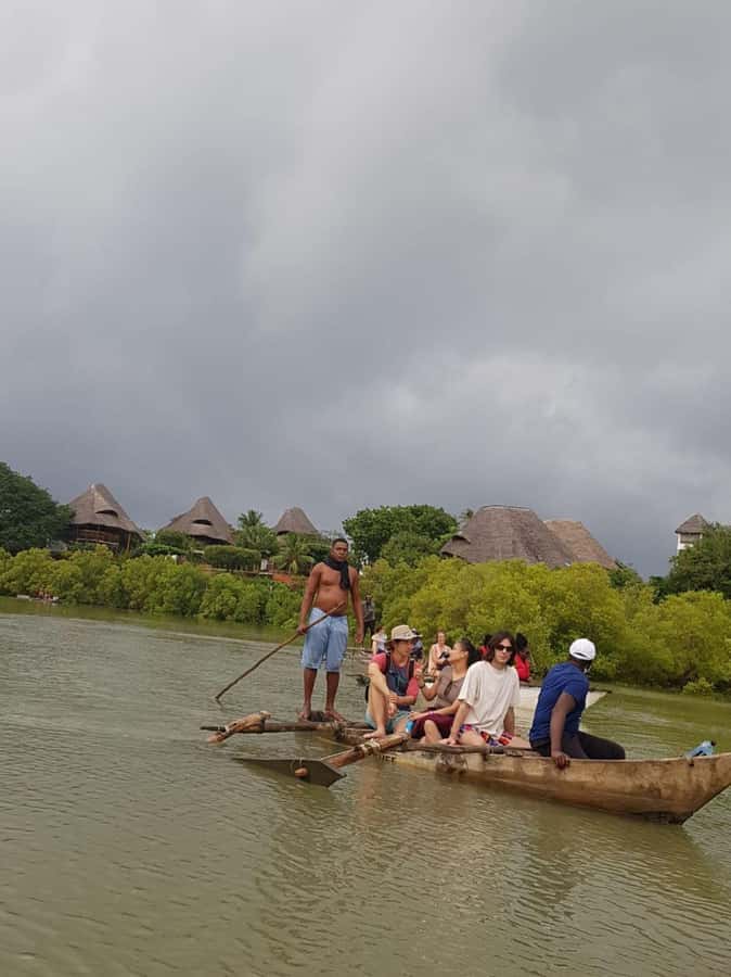 mangrove tour - Birdwatching without a rushed schedule