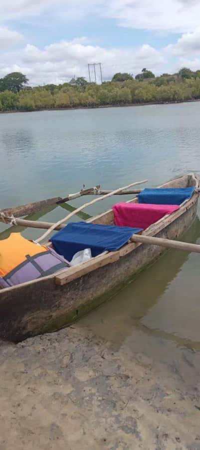 mangrove tour - What the $65 price includes