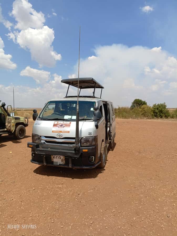 Masai Mara: 3-Day Group Joining Safari by Land Cruiser - The real cost at $240 per person