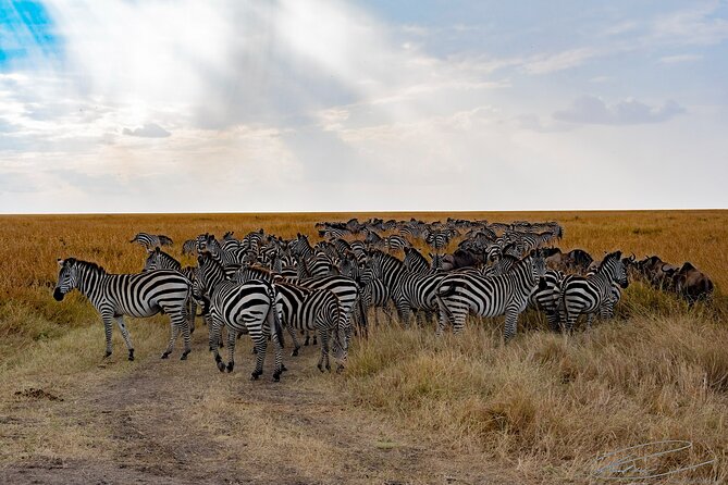 Masai Mara 3Days Safari Adventure - Day 3: Mount Longonot and the road back to Nairobi