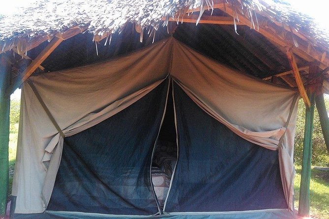 Masai Mara Budget 2 nights tented camp road Safari - What $650 per person really covers