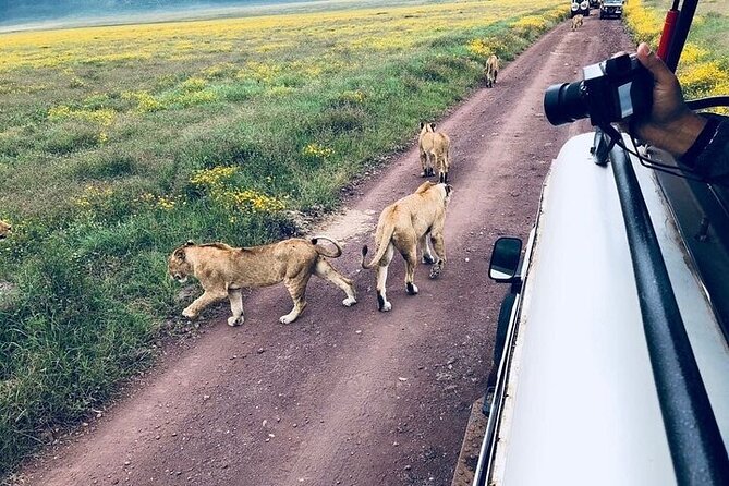 Masai Mara classic safari with optional Masai Village - Staying at Mara Sopa Lodge for Two Nights