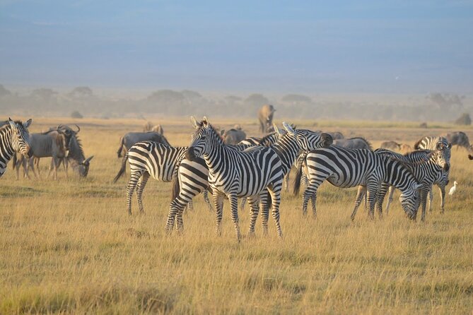 Masai Mara classic safari with optional Masai Village - The Hot-Air Balloon Option Costs $450