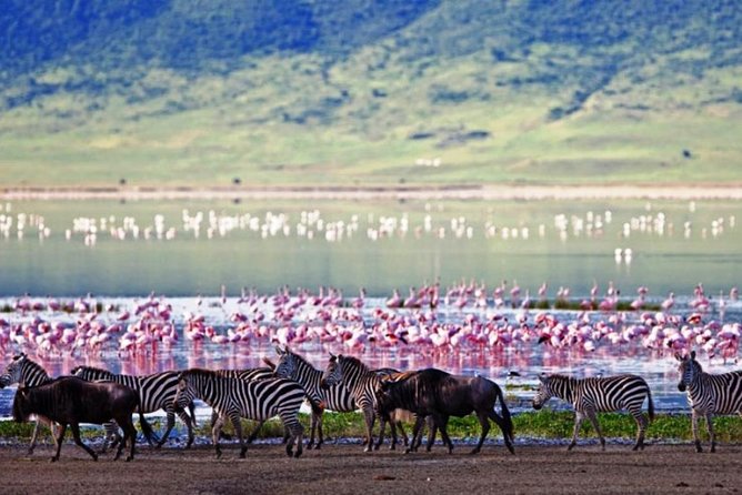 Masai Mara Game Reserve Safari Tour, 4 Days 3 Nights - Leaving Nairobi and reaching the Great Rift Valley