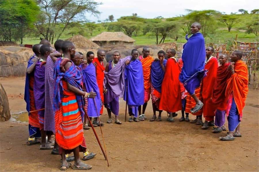 Masai Village Cultural Day Tour from Nairobi - Music, dress, and demonstrations