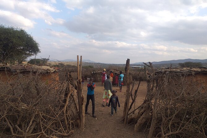 Masai village day tour. - The real cost is closer to $90 before lunch