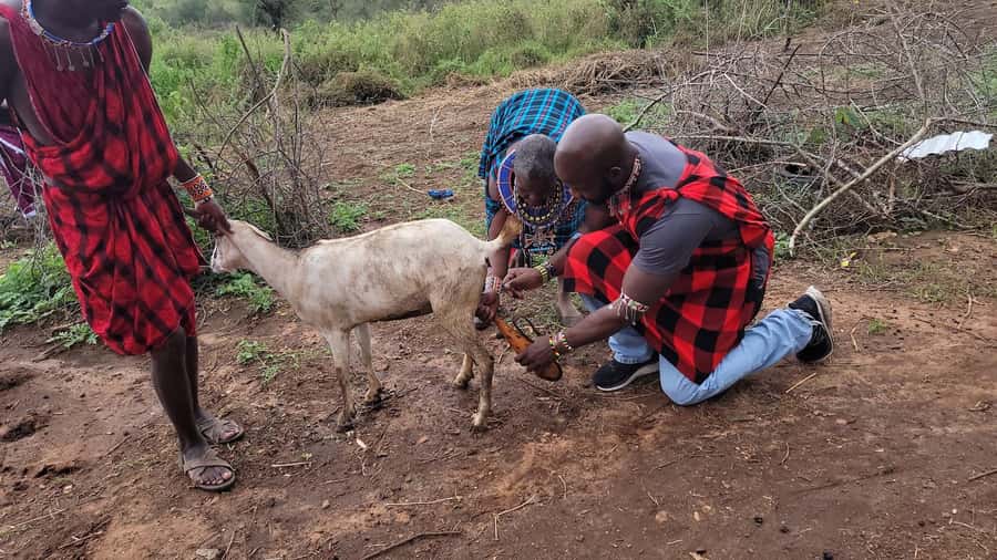 Masai Village Experience (Day trip) - Leaving Nairobi for the Maasai community