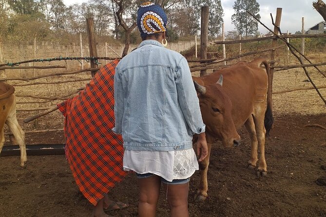 Masai village visit from Nairobi day tour - Is the $65 Price Good Value?