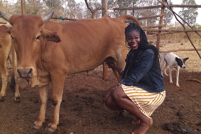 Masai village visit from Nairobi day tour - Who Should Book This Kajiado Day Trip?