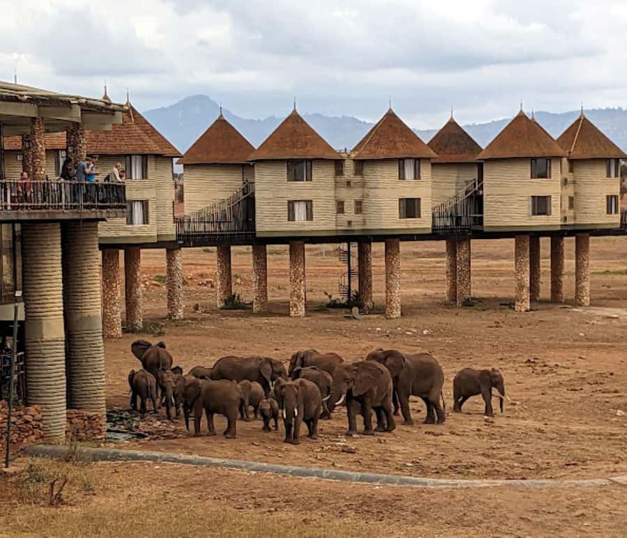 Mombasa: 2-Day Safari to Taita Hills Game Sanctuary - Sunset wildlife from the safari vehicle