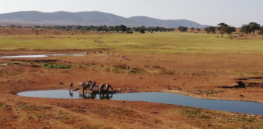 Mombasa: 2-Day Safari to Taita Hills Game Sanctuary - What the $590 price includes
