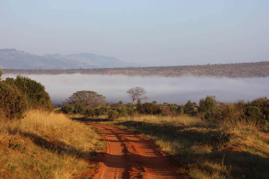 Mombasa: 3-Days 2-Nights Tsavo East and West Private Safari. - Should You Book This Tsavo Safari?