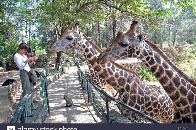 Mombasa city tour, Fort Jesus and Haller Park - Haller Park changes the mood of the afternoon