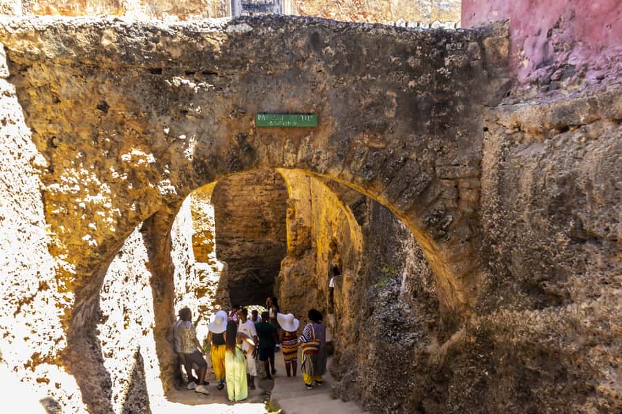Mombasa City Tour: Fort Jesus Museum, Old Town & Haller Park - The return around 5 pm
