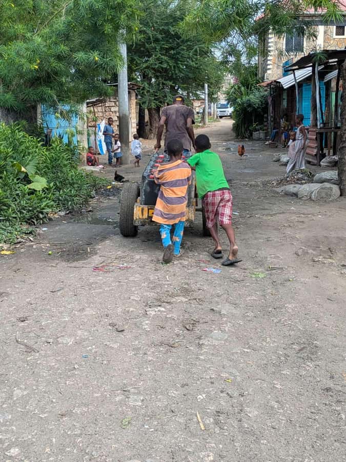 Mombasa Cultural & Wildlife Experience - Fresh coconut, palm wine, and a short rest
