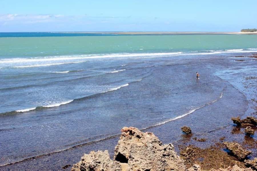 Mombasa: Discovery Day Tour and Haller Park - A private day makes the long route easier