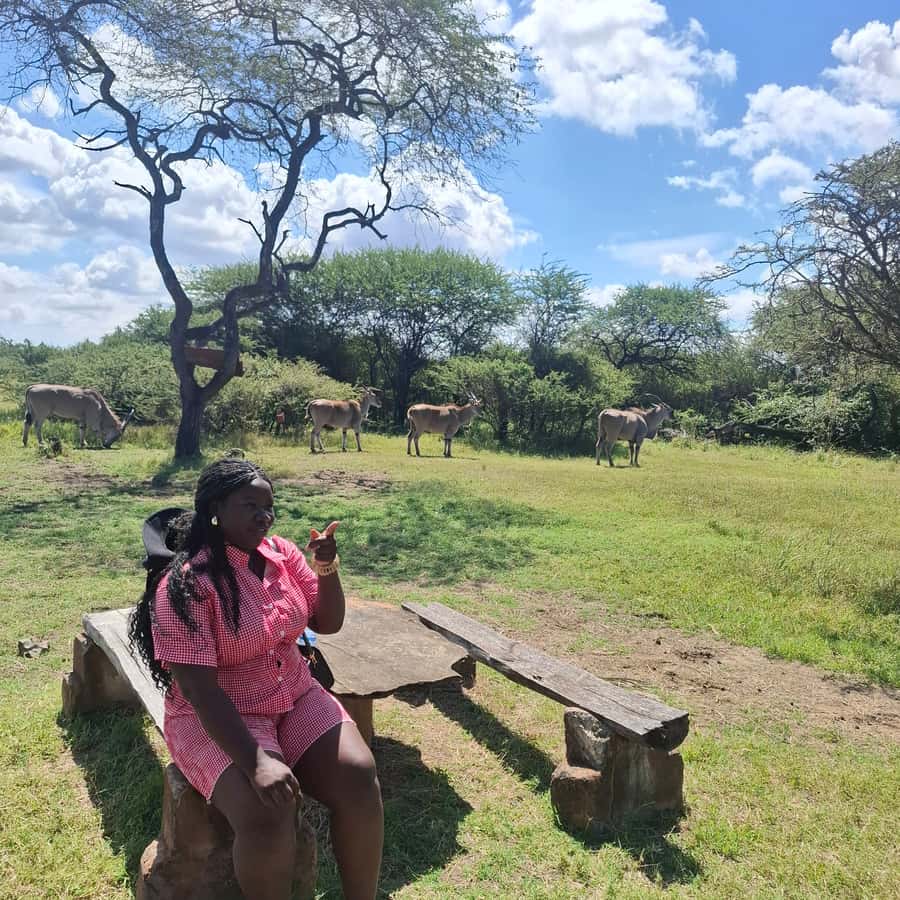 MOMBASA:FortJesus,OldCity,GiraffeOstrich,Oryx,Eland,WildTour - Why this Mombasa day works so well