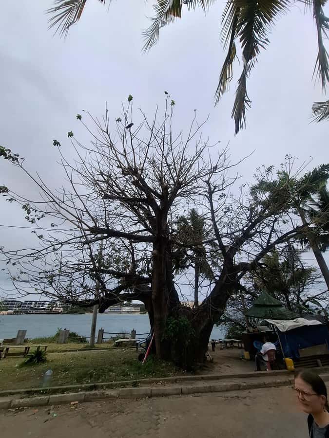 MOMBASA:FortJesus,OldTown,SpiceMarket, Shiva Temple DayTour. - What the $35 price really covers