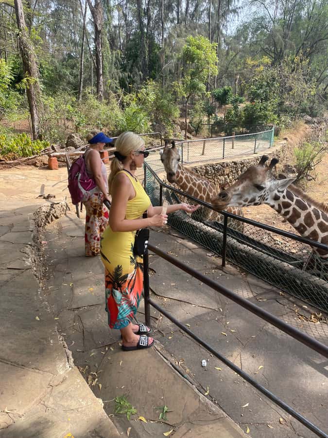 Mombasa Full Day City tour & Haller Park - Key points at a glance