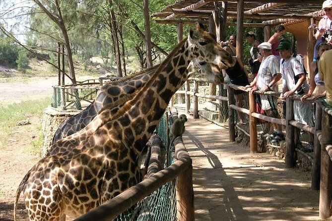 Mombasa Getaway with Haller Park Tours - Fort Jesus: the strongest historical stop