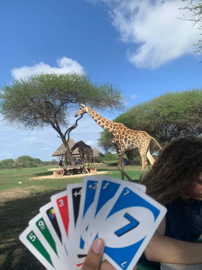 Mombasa: Guided Nature Walk Amongst Giraffes - Why the conservation message adds value