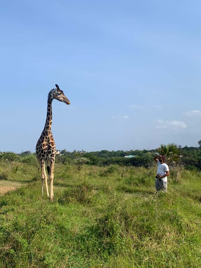Mombasa: Guided Nature Walk Amongst Giraffes - Is $38 a fair price?