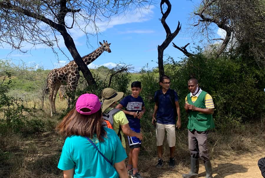 Mombasa: Guided Nature Walk Amongst Giraffes - Who will enjoy this sanctuary visit?