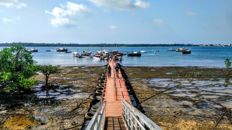 Mombasa: Kisite Park Private Cruise with Breakfast and Lunch - Why this private Kisite day is worth considering