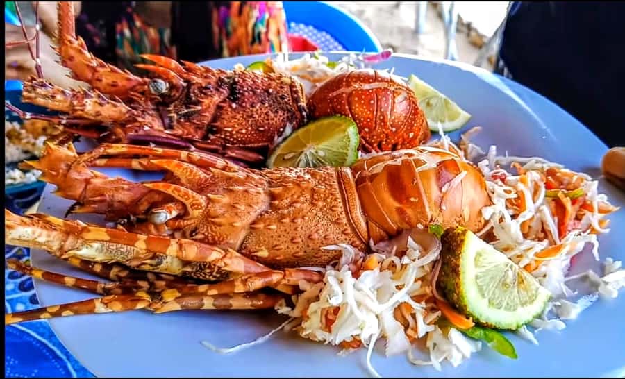 Mombasa: Kisite Park Private Cruise with Breakfast and Lunch - Reef snorkeling at Kisite Marine Park