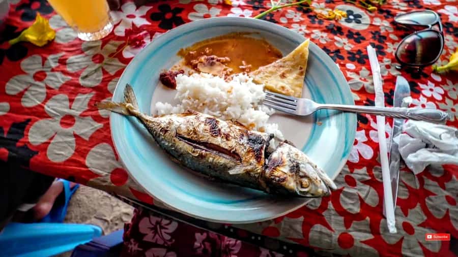 Mombasa: Kisite Park Private Cruise with Breakfast and Lunch - What private really changes
