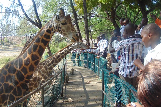Mombasa Private City Tour & Haller park Sanctuary with sea food luch - Starting at Fort Jesus around 8 a.m.