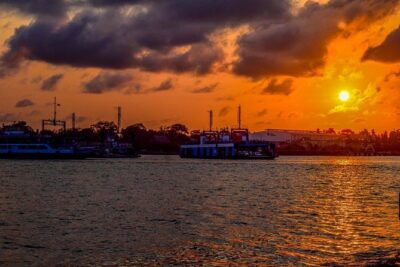 Mombasa Private City Tour & Haller park Sanctuary with sea food luch