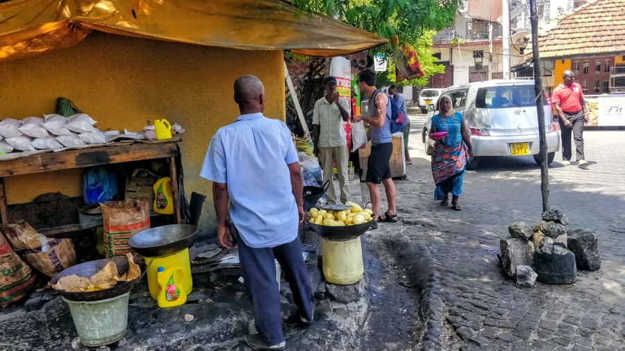 Mombasa: Private City Tour with Fort Jesus & Haller Park - Timing, pickups, and practical planning