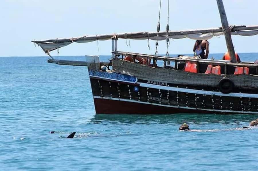Mombasa: Snorkeling, Dolphin watching, seafood lunch. - From Mombasa or Diani to Shimoni by road