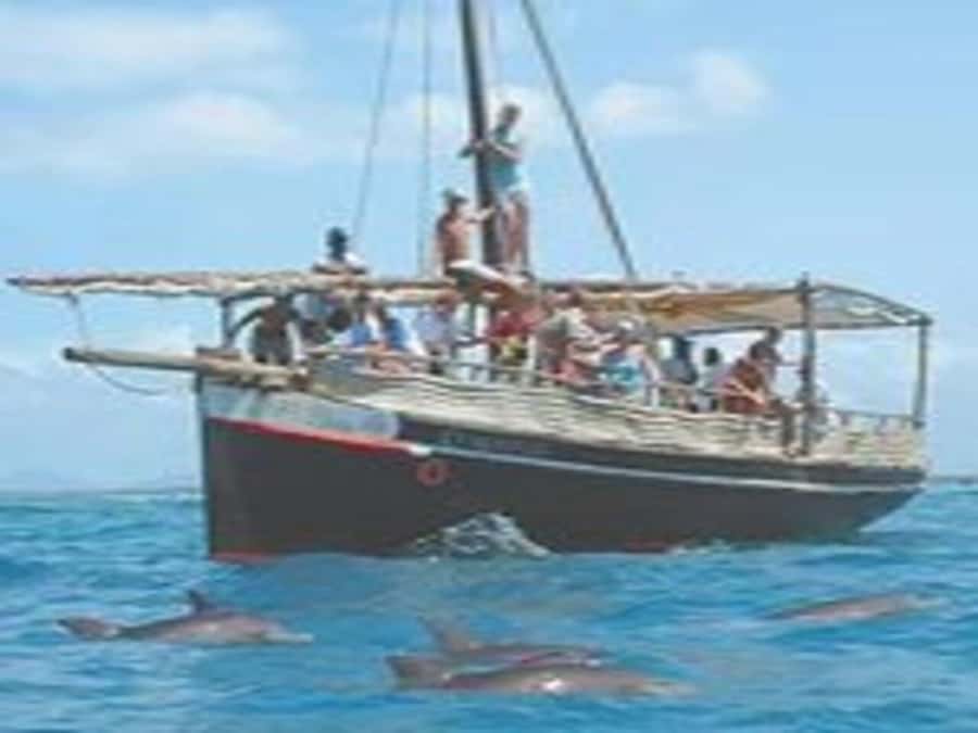 Mombasa: Snorkeling, Dolphin watching, seafood lunch. - Looking for dolphins in open water