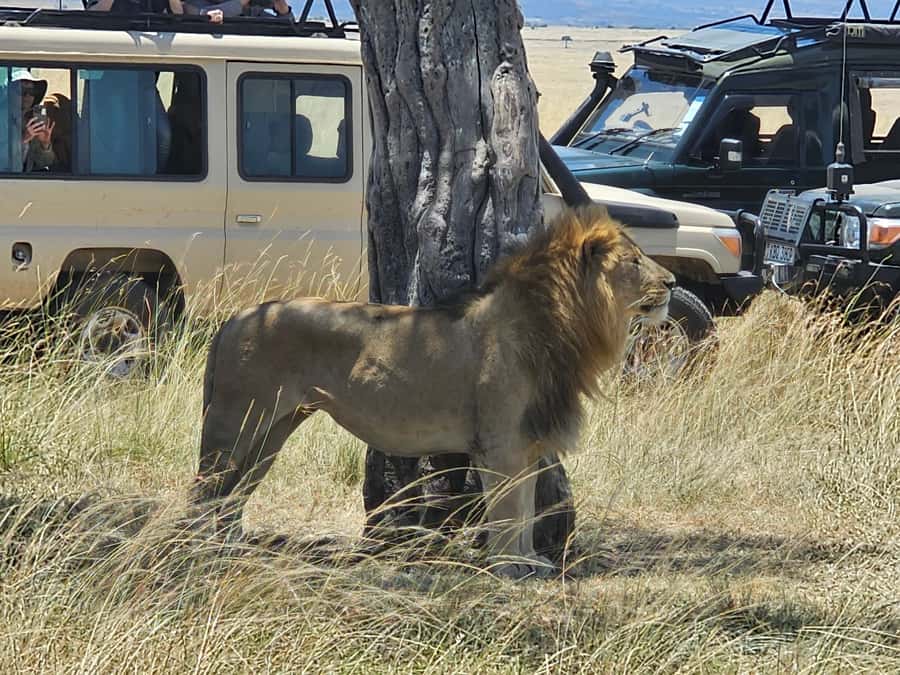 Mombasa: Tsavo East National Park Day Trip with Lunch - Lunch at a lodge, with one detail to confirm
