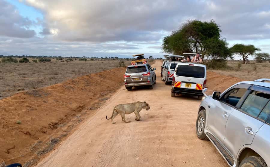Mombasa: Tsavo East Ngutuni Sanctuary Overnight Safari - From the coast to Ngutuni Sanctuary