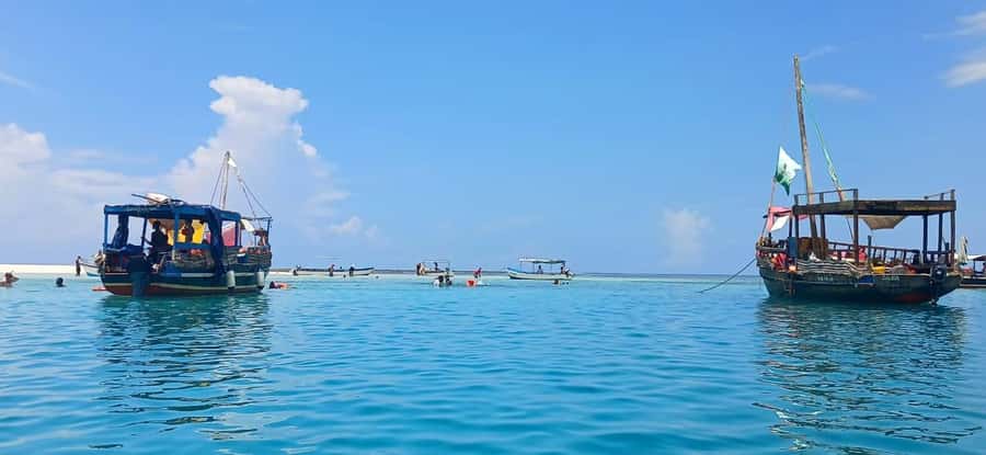 Mombasa: Wasini Dolphin Tour - Kisite Mpunguti Marine Park and Its Coral Reefs