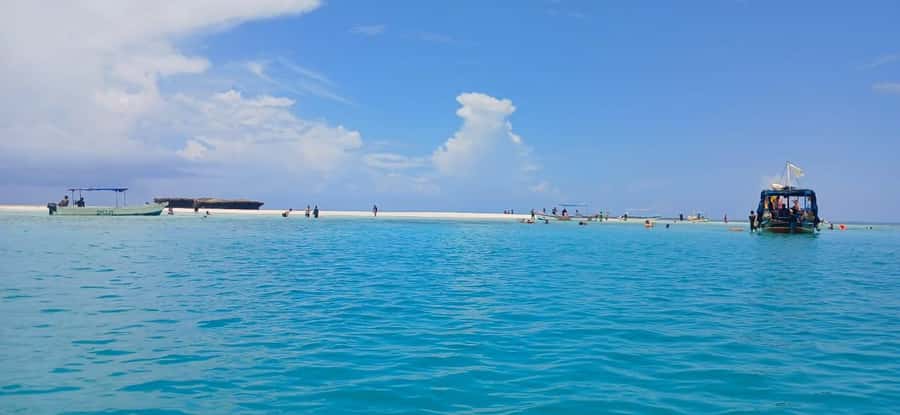 Mombasa: Wasini Dolphin Tour - Dolphin Watching Without False Promises