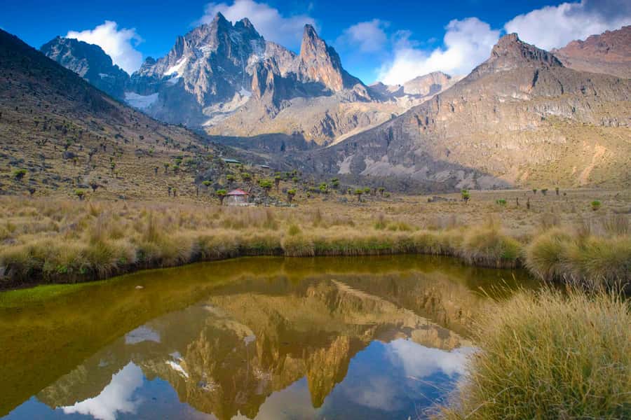 Mt Kenya: Full-day hiking tour from Nairobi - Old Moses Camp and a Confusing Trail Description