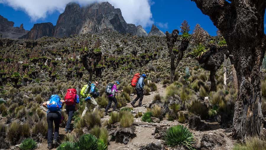 Mt Kenya: Full-day hiking tour from Nairobi - The Guides Make a Real Difference
