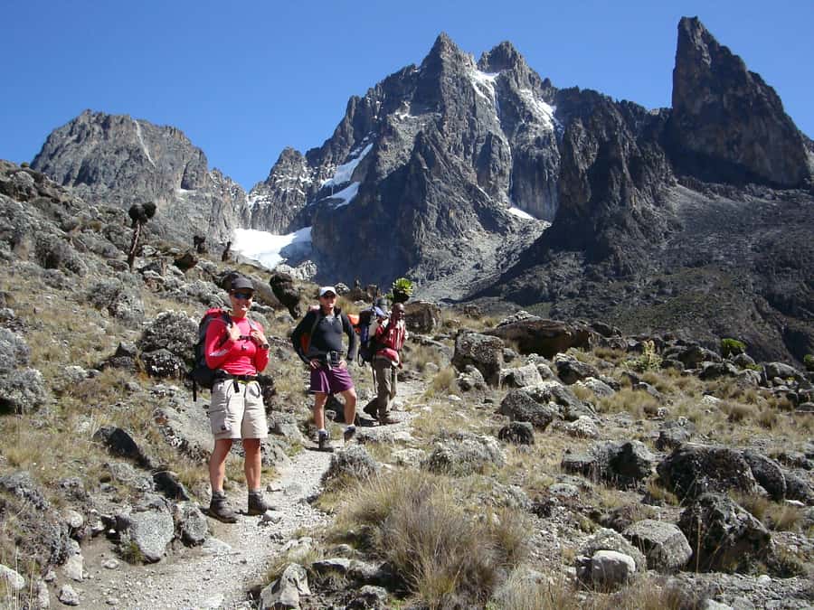 Mt Kenya: Full-day hiking tour from Nairobi - Bamboo Groves, Open Ground, and the Meteorological Station