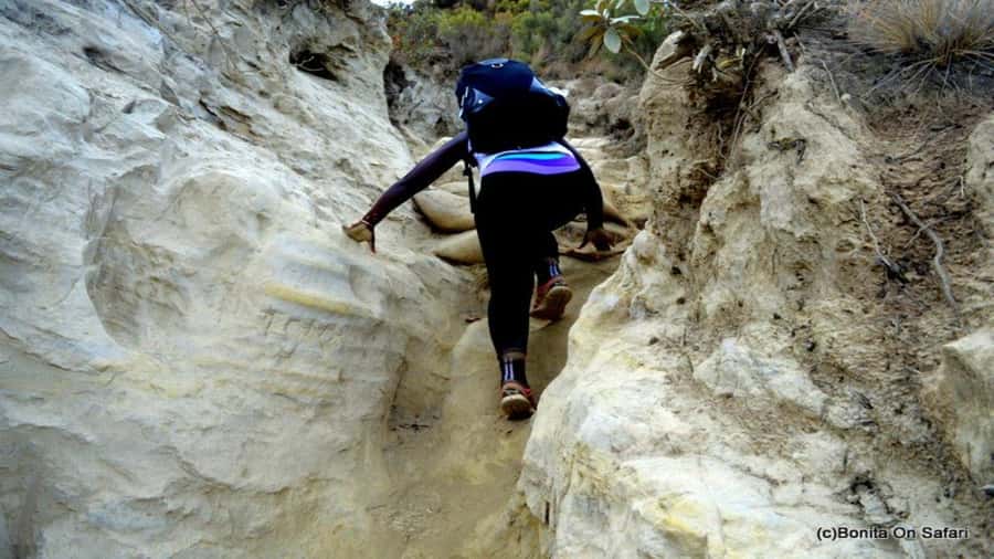 Mt Longonot National park Day Hike - The optional Lake Naivasha extension