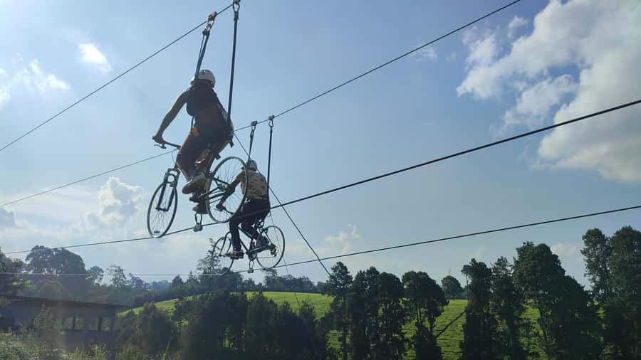 Nairobi: 1 Day of Pure Adrenaline Adventure in Kenya - A Full Day of High Ropes Near Nairobi